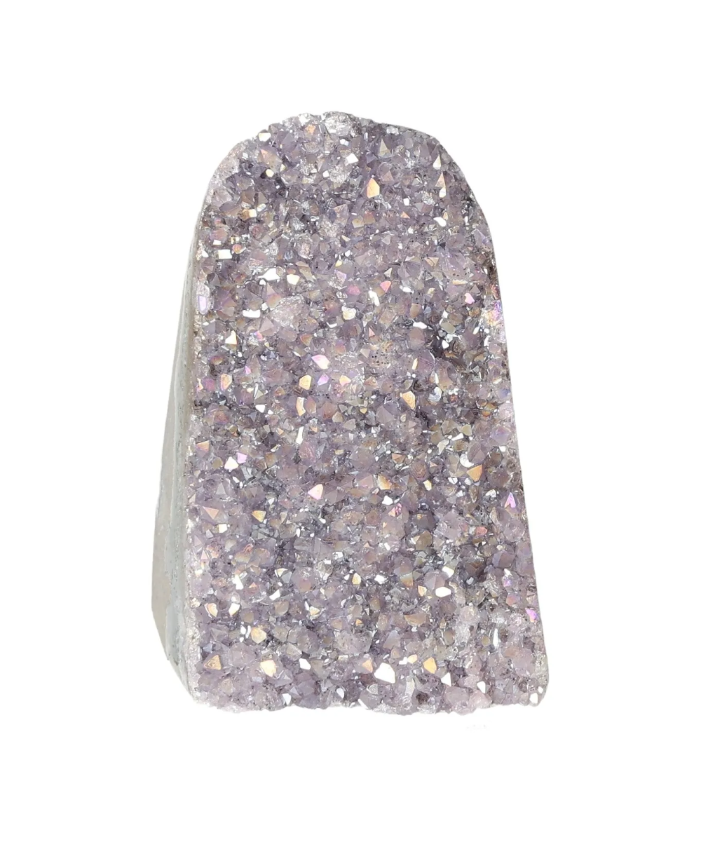 orbitvu|type:image2d