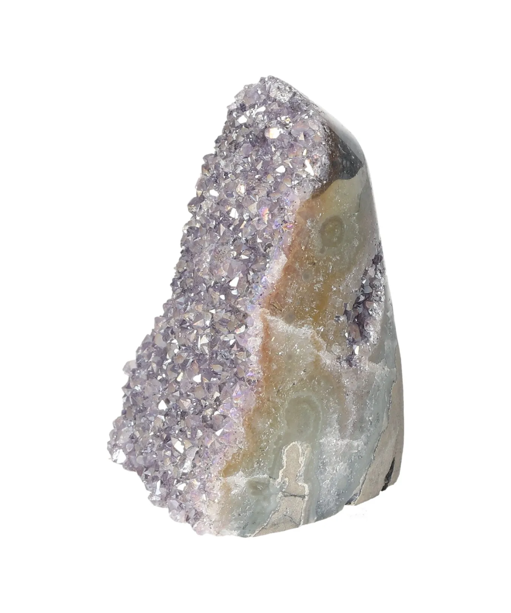 orbitvu|type:image2d