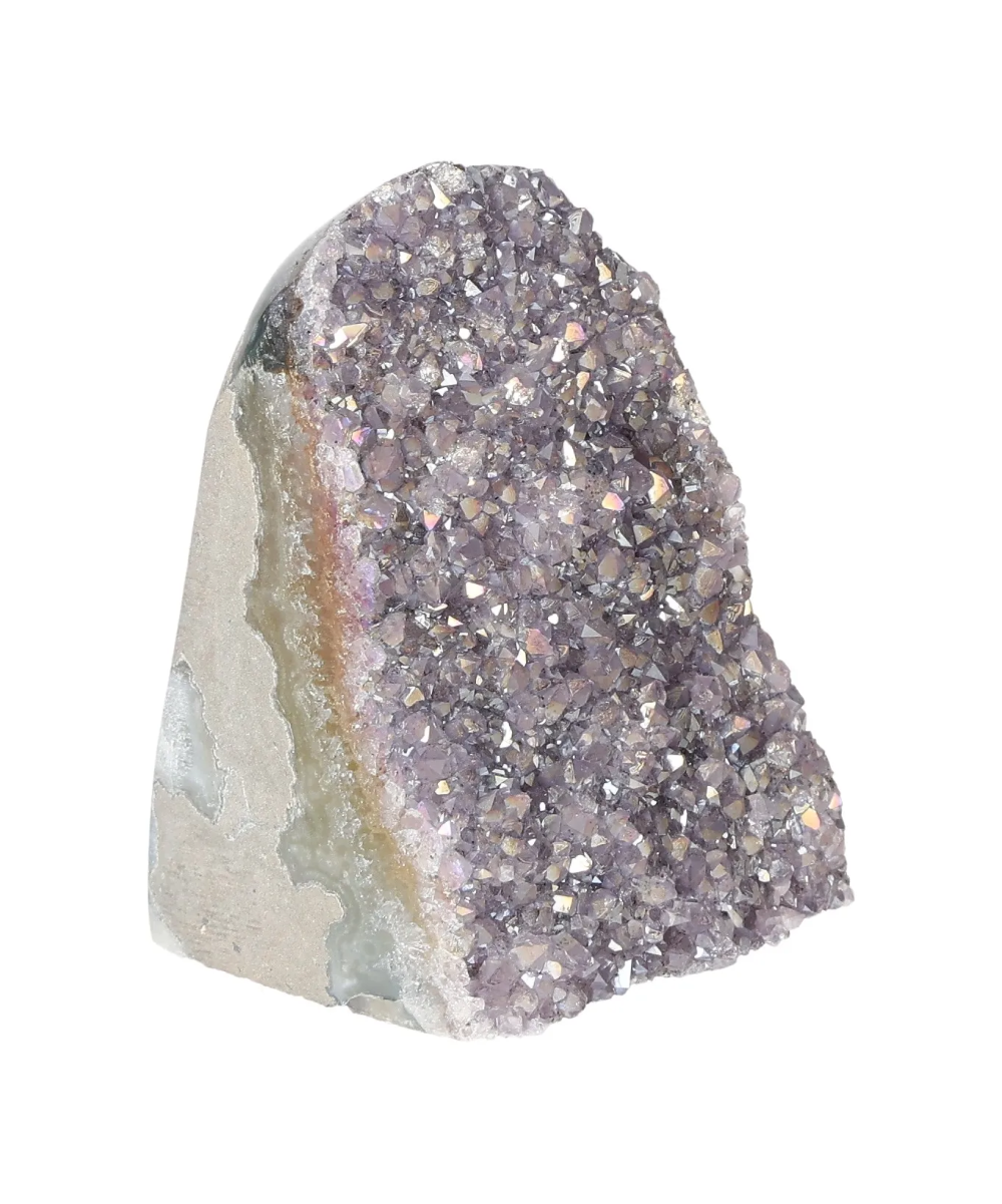 orbitvu|type:image2d