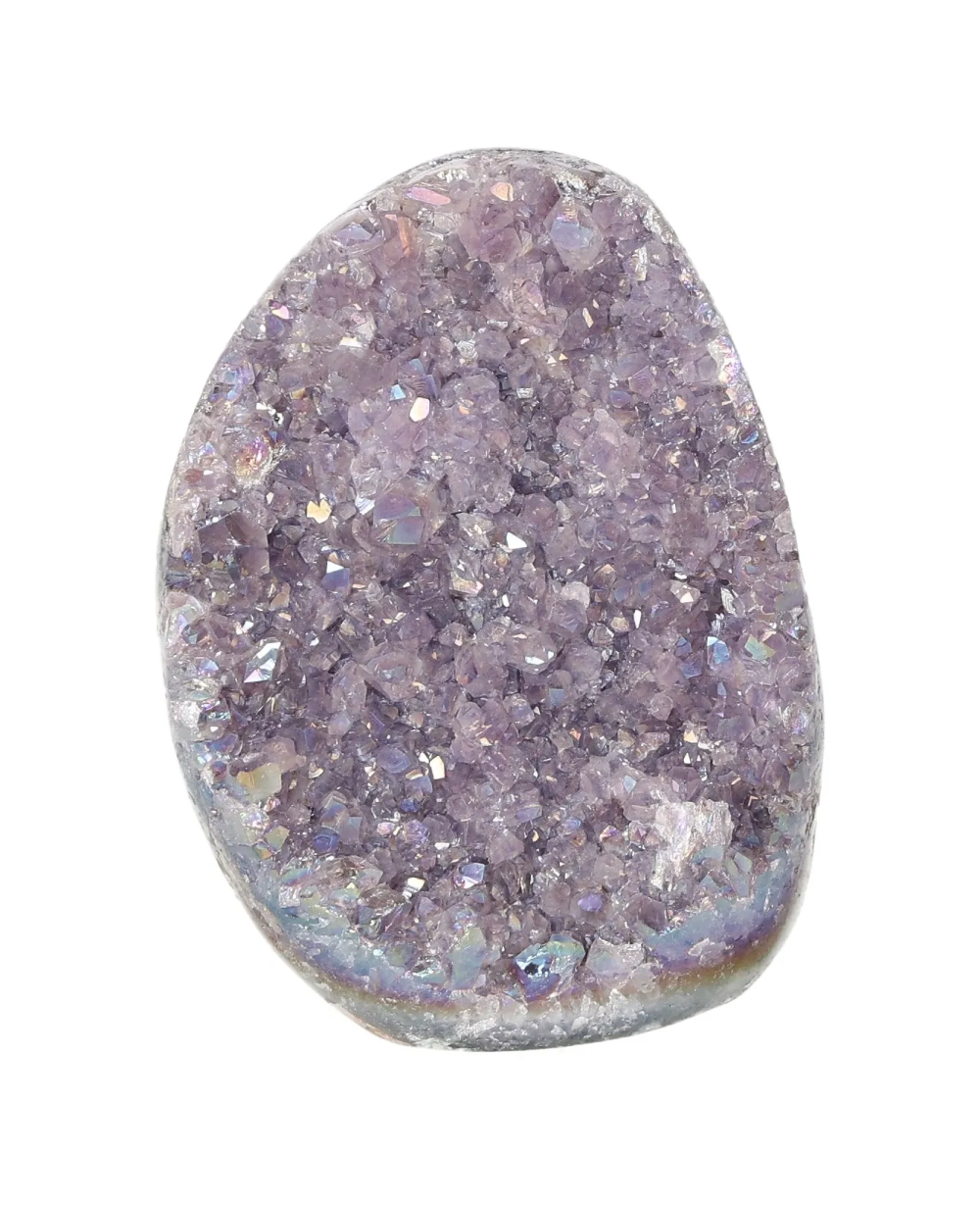 orbitvu|type:image2d