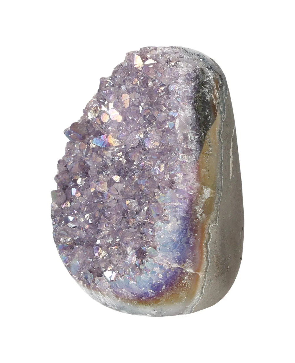 orbitvu|type:image2d