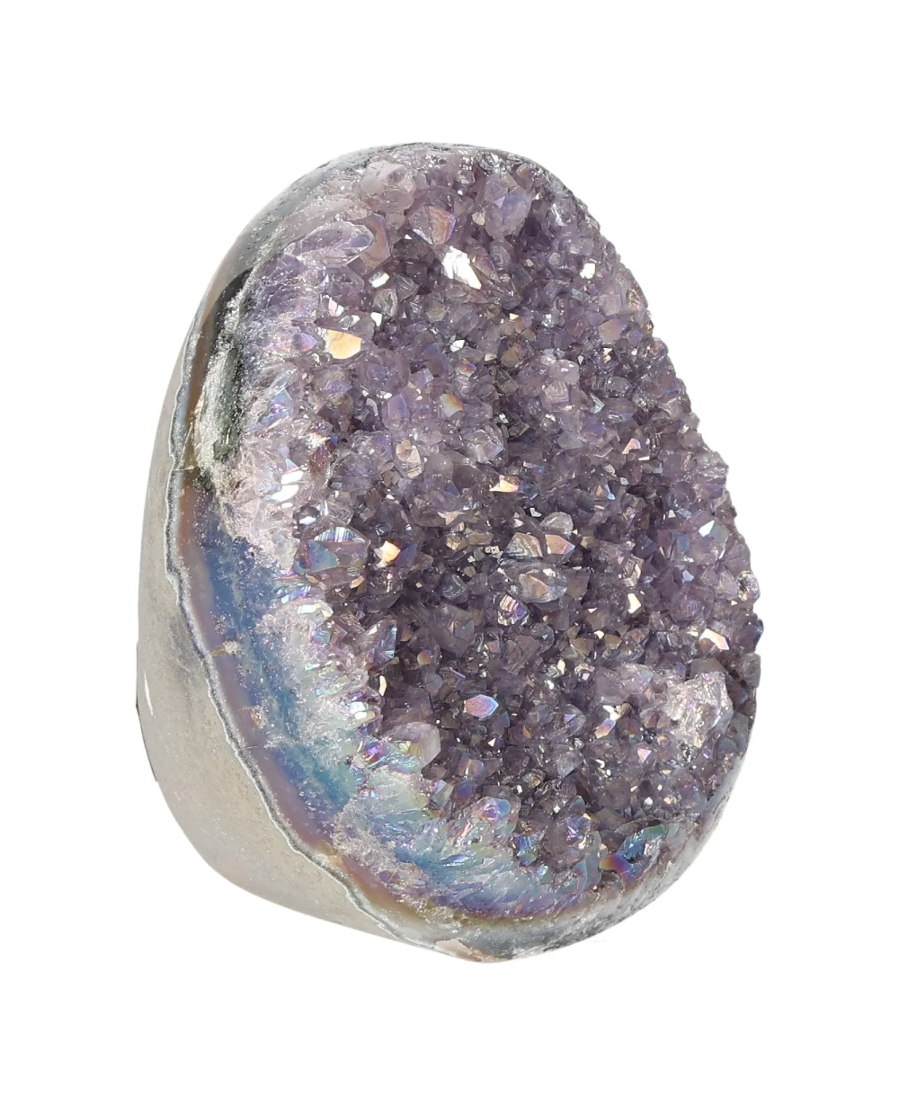 orbitvu|type:image2d