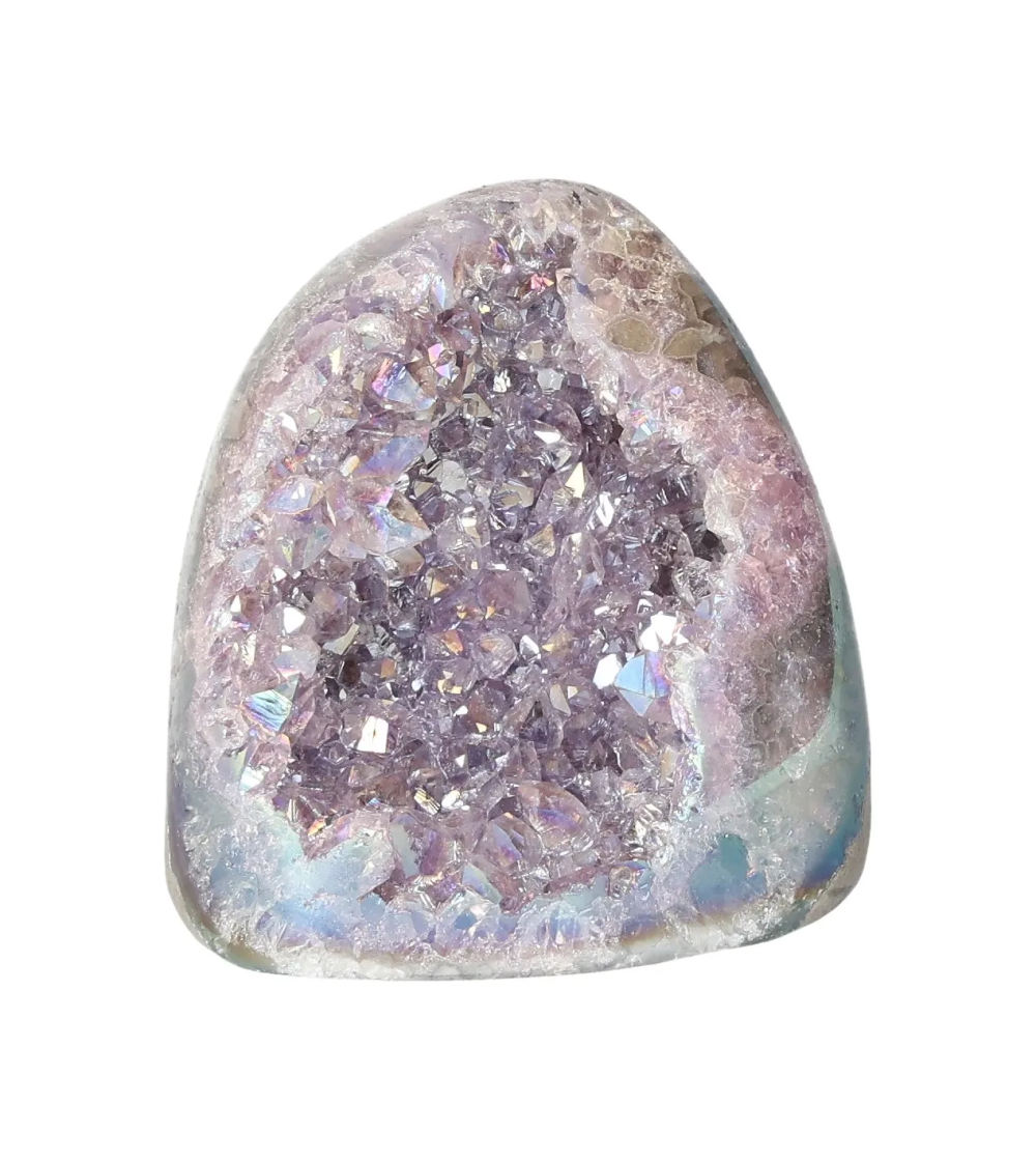 orbitvu|type:image2d