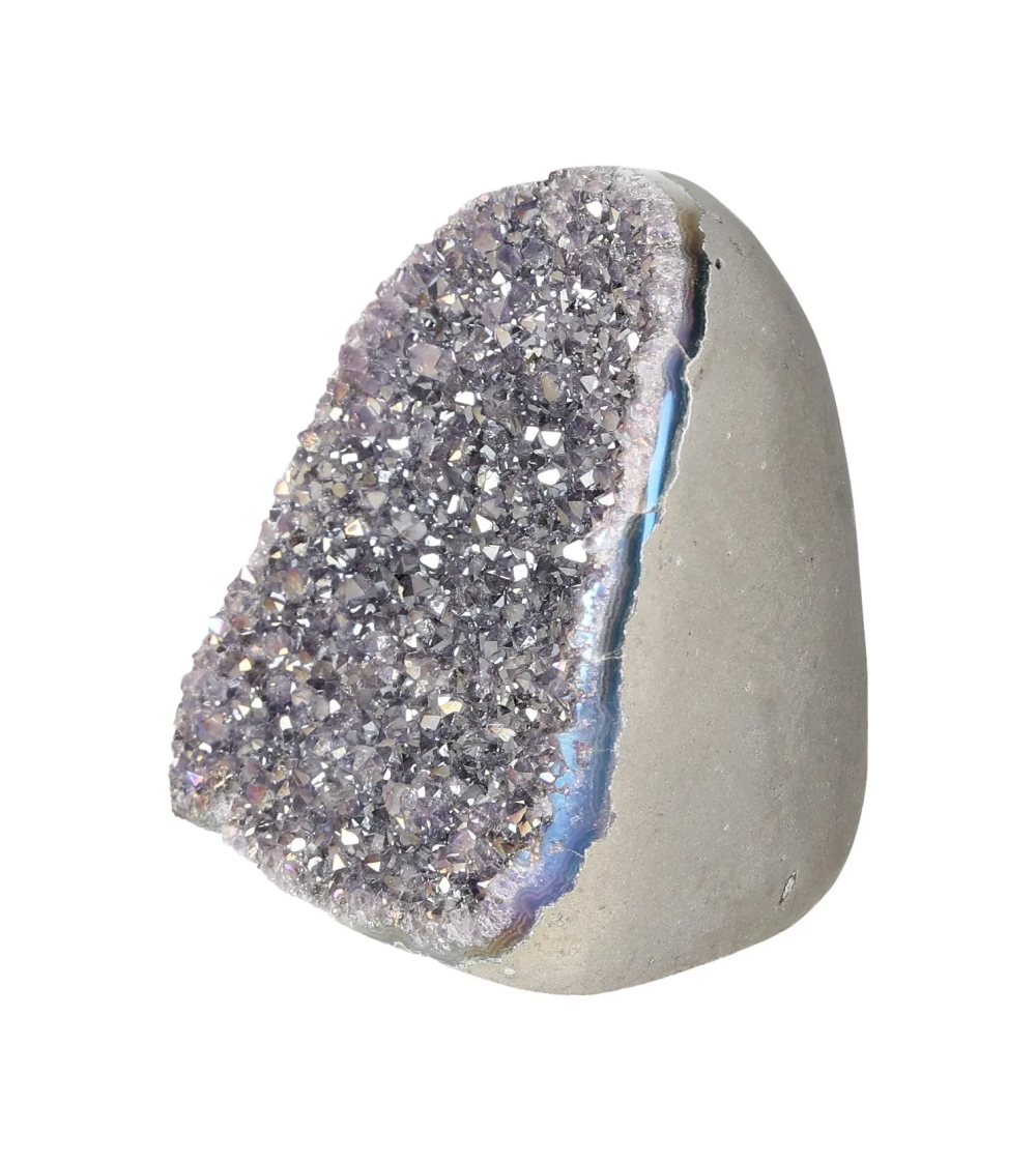 orbitvu|type:image2d