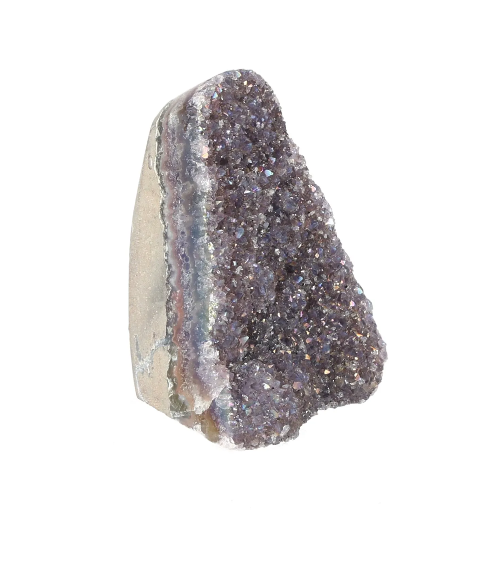 orbitvu|type:image2d