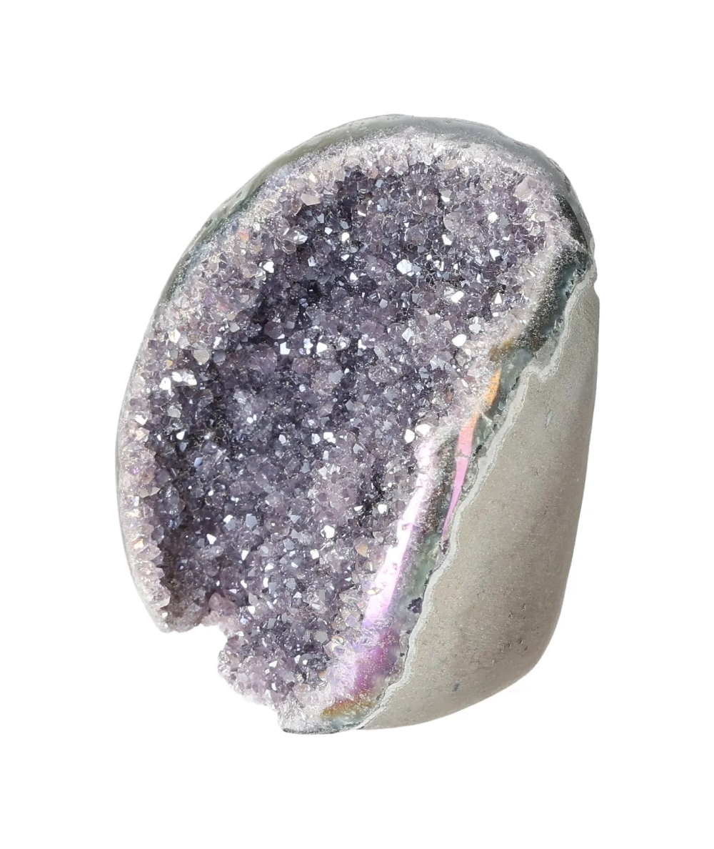 orbitvu|type:image2d