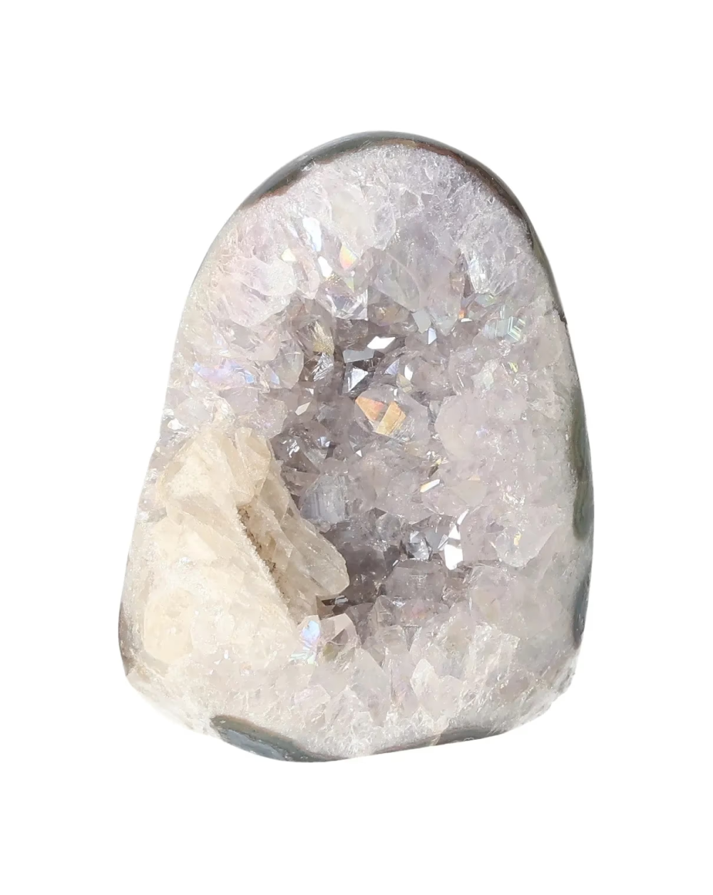 orbitvu|type:image2d