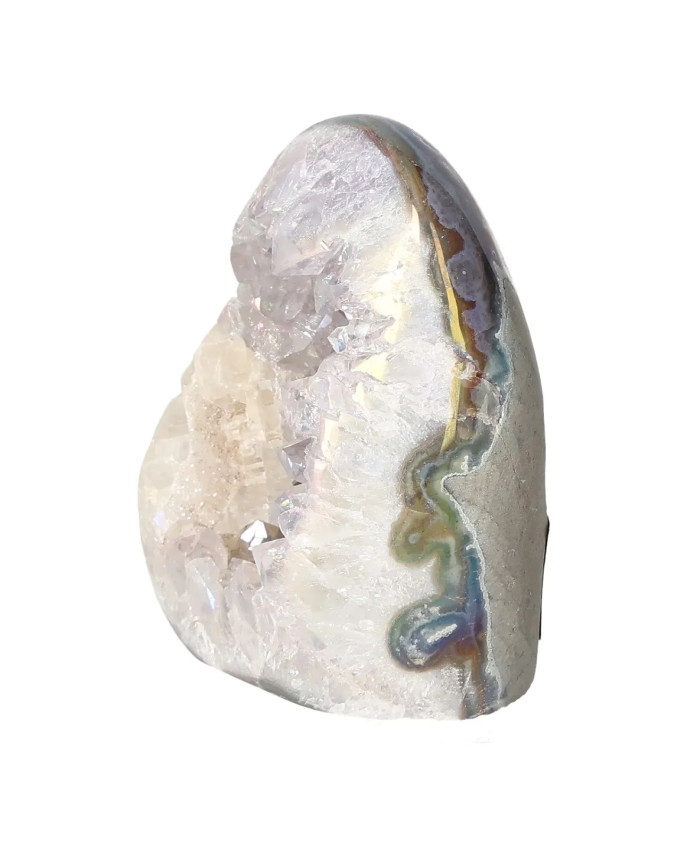 orbitvu|type:image2d