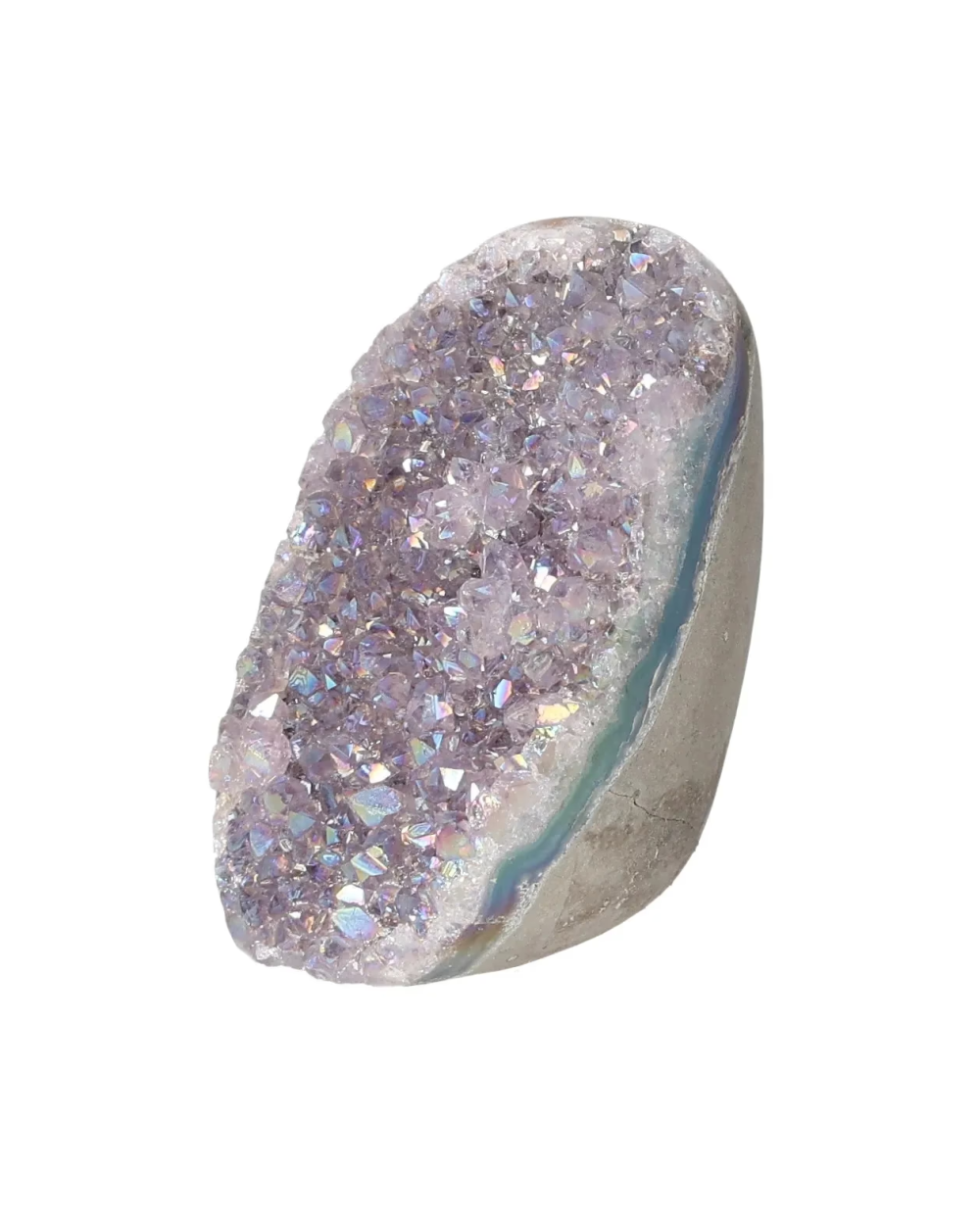 orbitvu|type:image2d