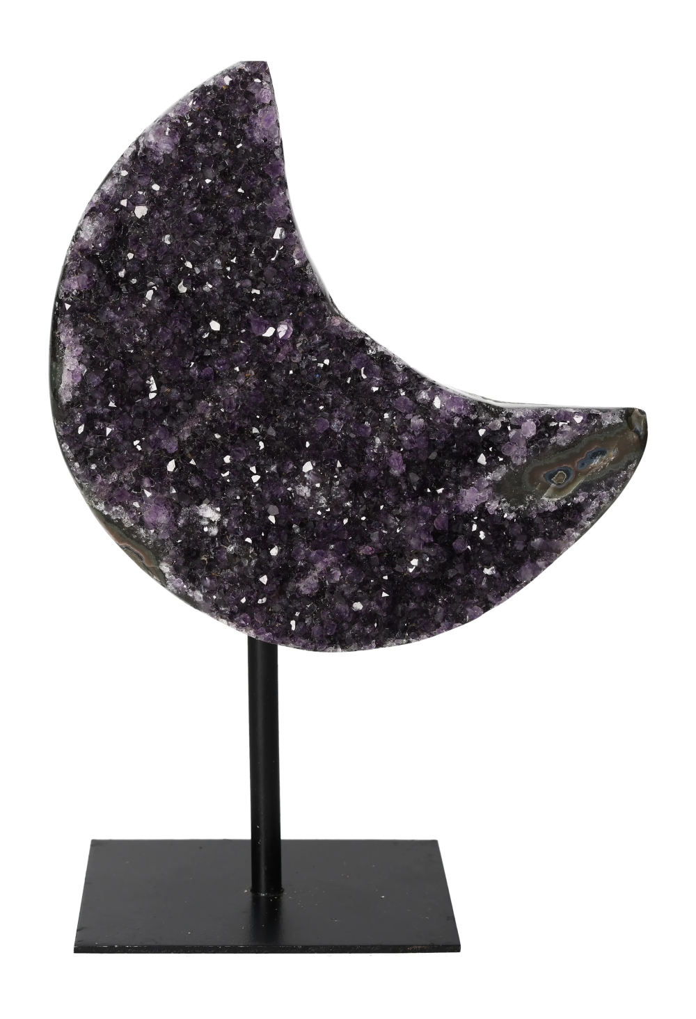 orbitvu|type:image2d