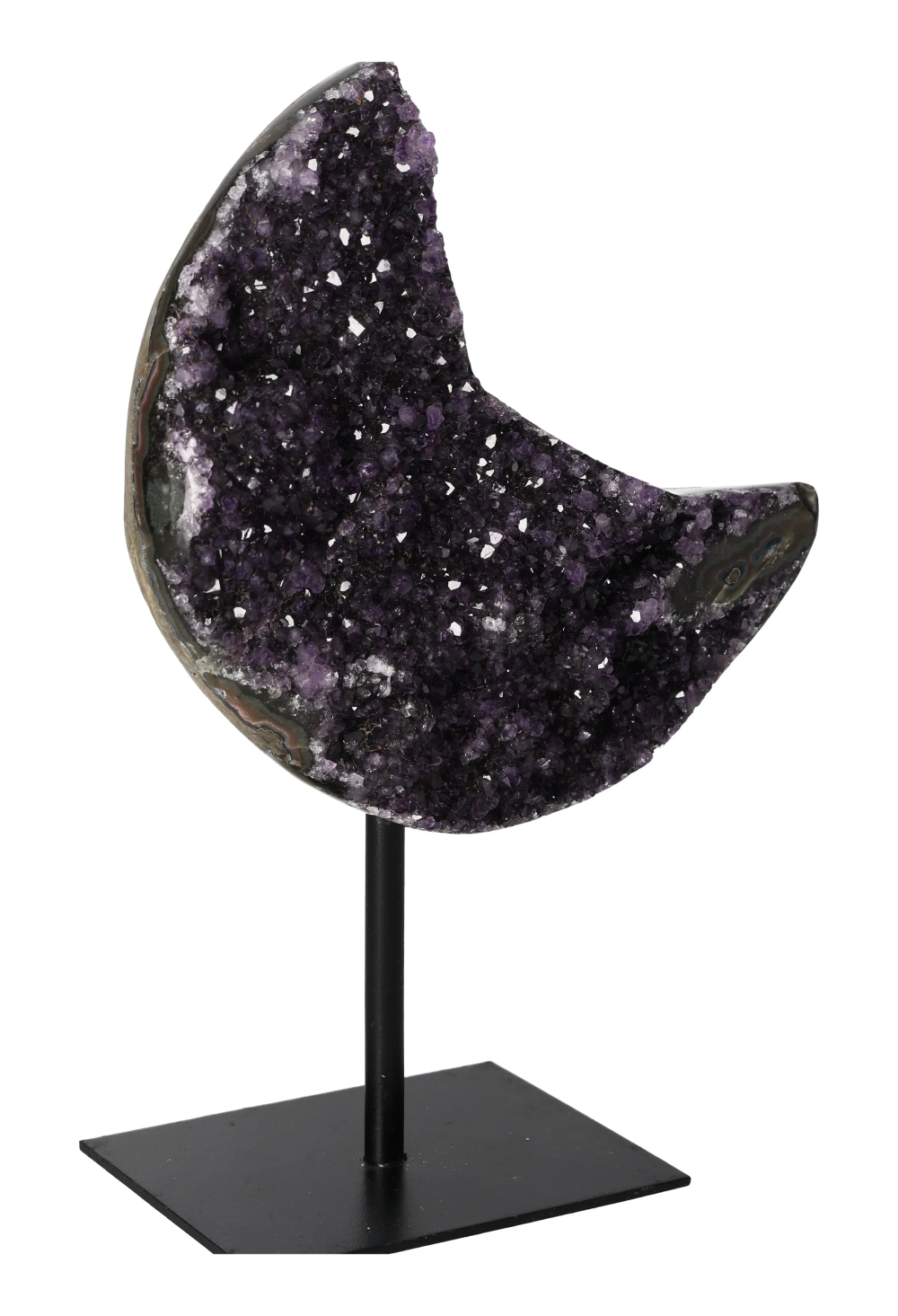 orbitvu|type:image2d