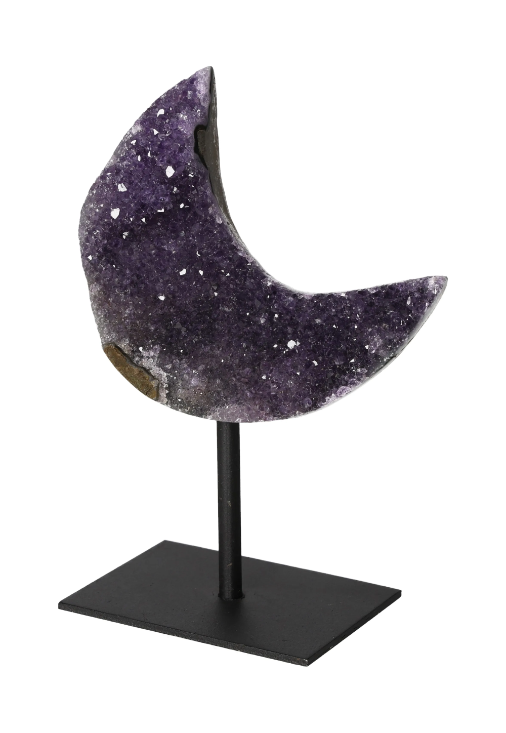 orbitvu|type:image2d