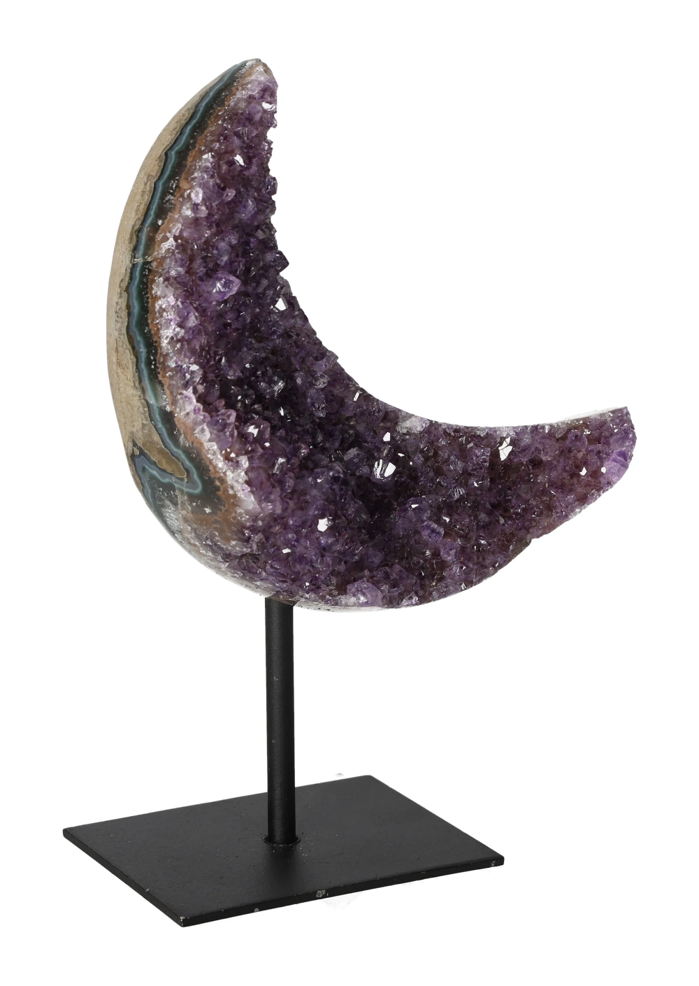 orbitvu|type:image2d