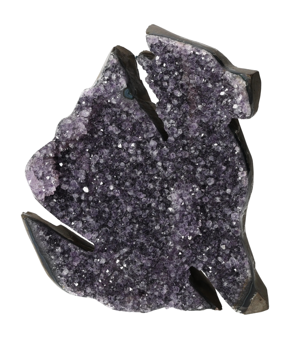 orbitvu|type:image2d