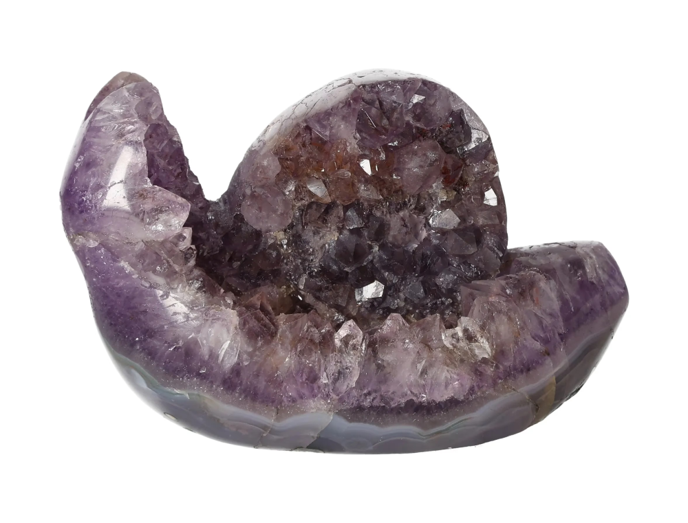 orbitvu|type:image2d