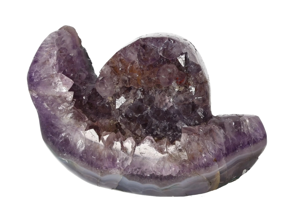 orbitvu|type:image2d