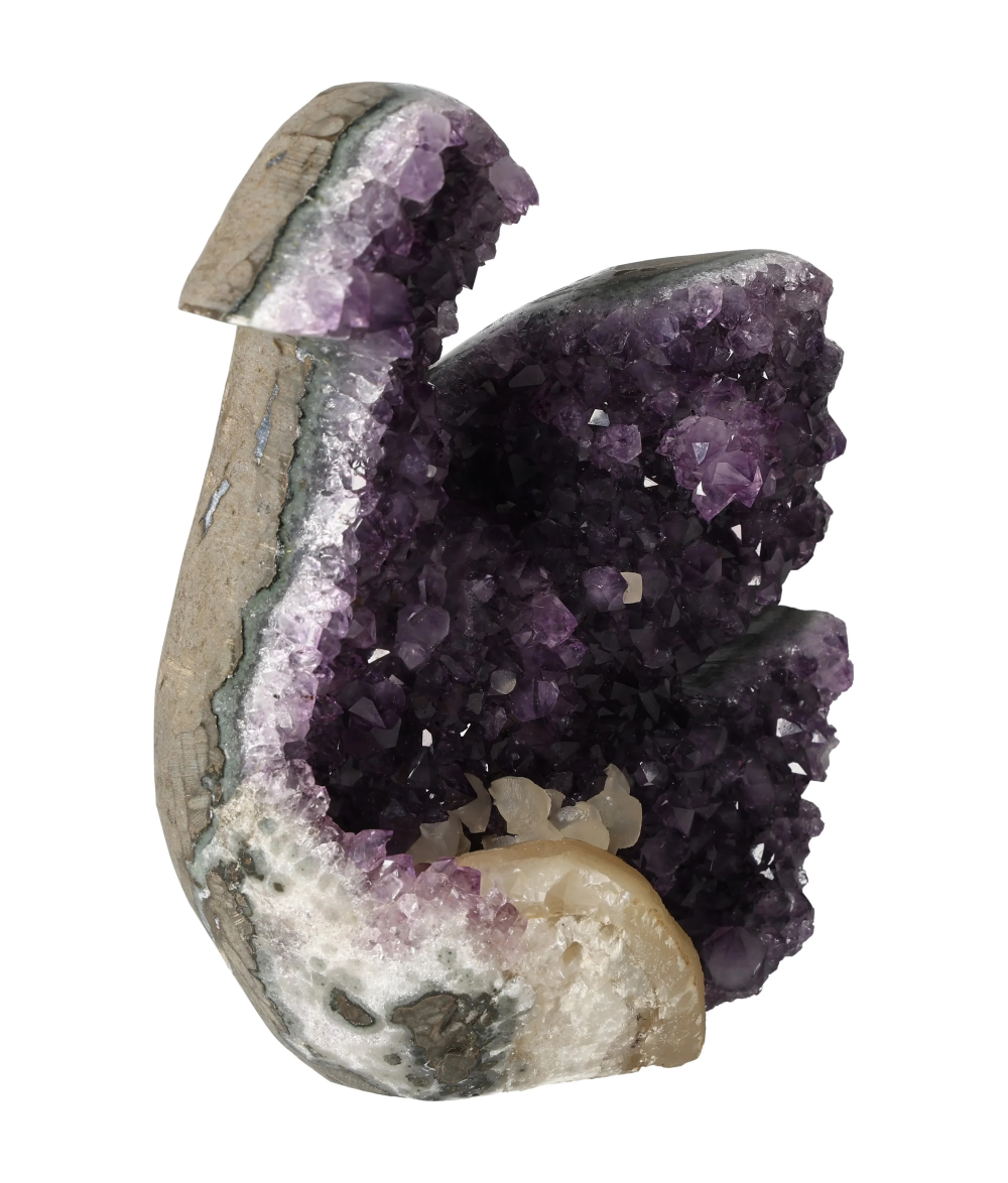 orbitvu|type:image2d