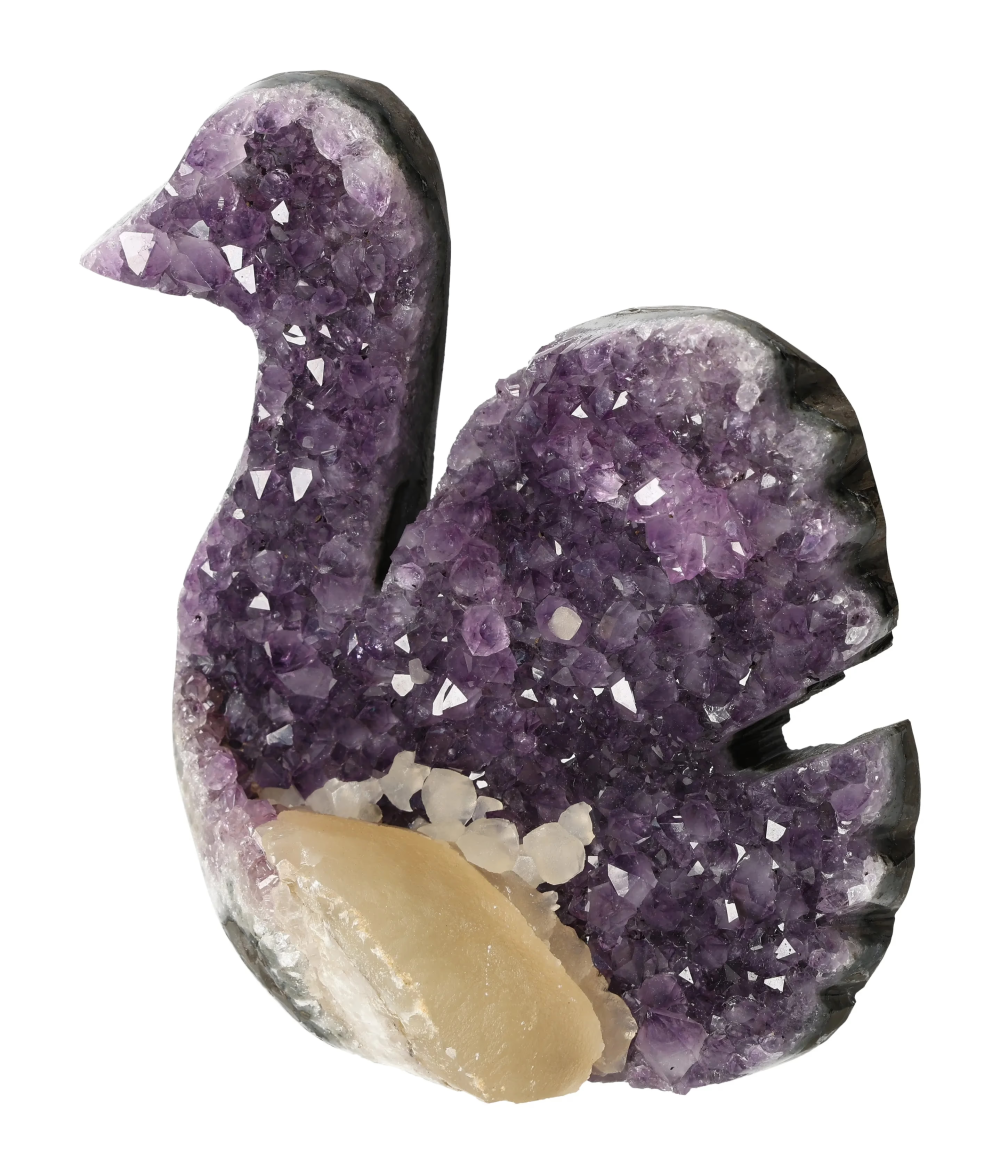 orbitvu|type:image2d