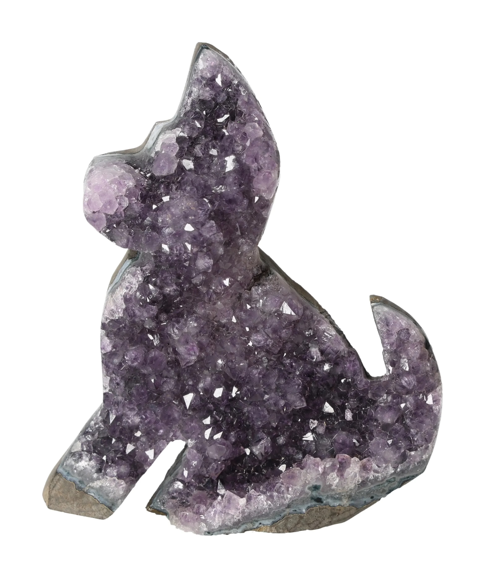 orbitvu|type:image2d