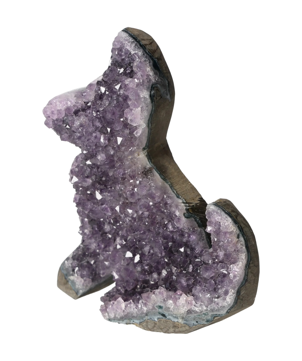 orbitvu|type:image2d