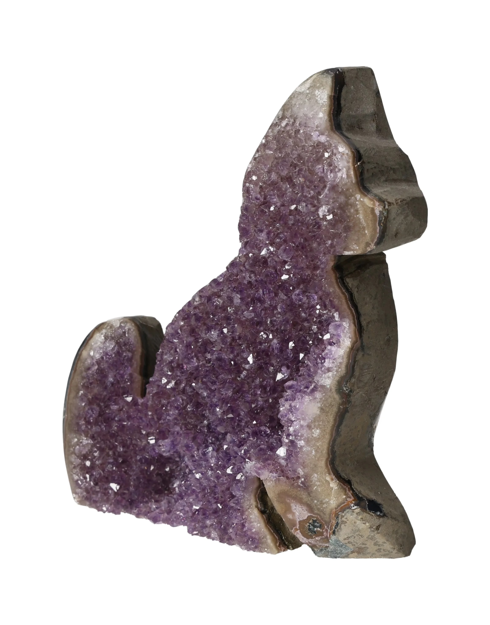 orbitvu|type:image2d