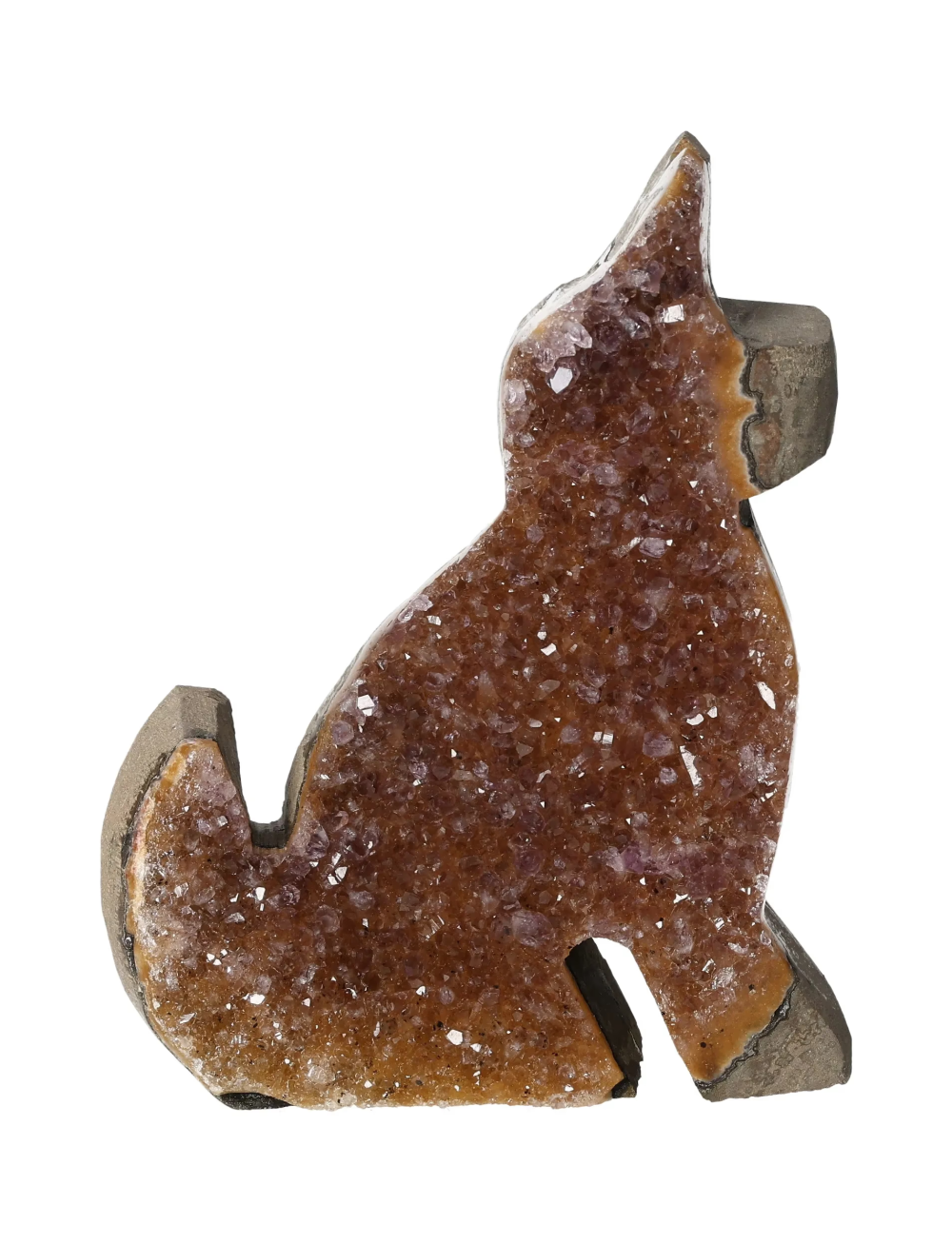 orbitvu|type:image2d