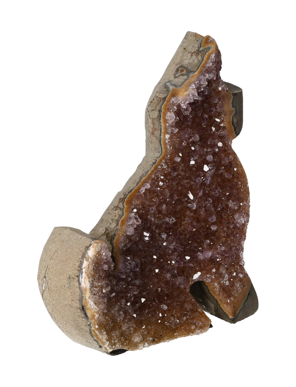 orbitvu|type:image2d