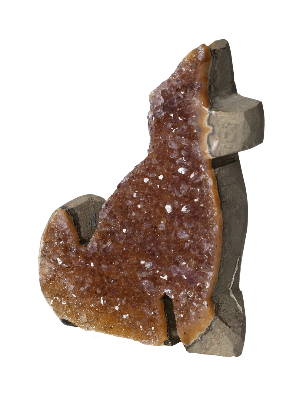 orbitvu|type:image2d