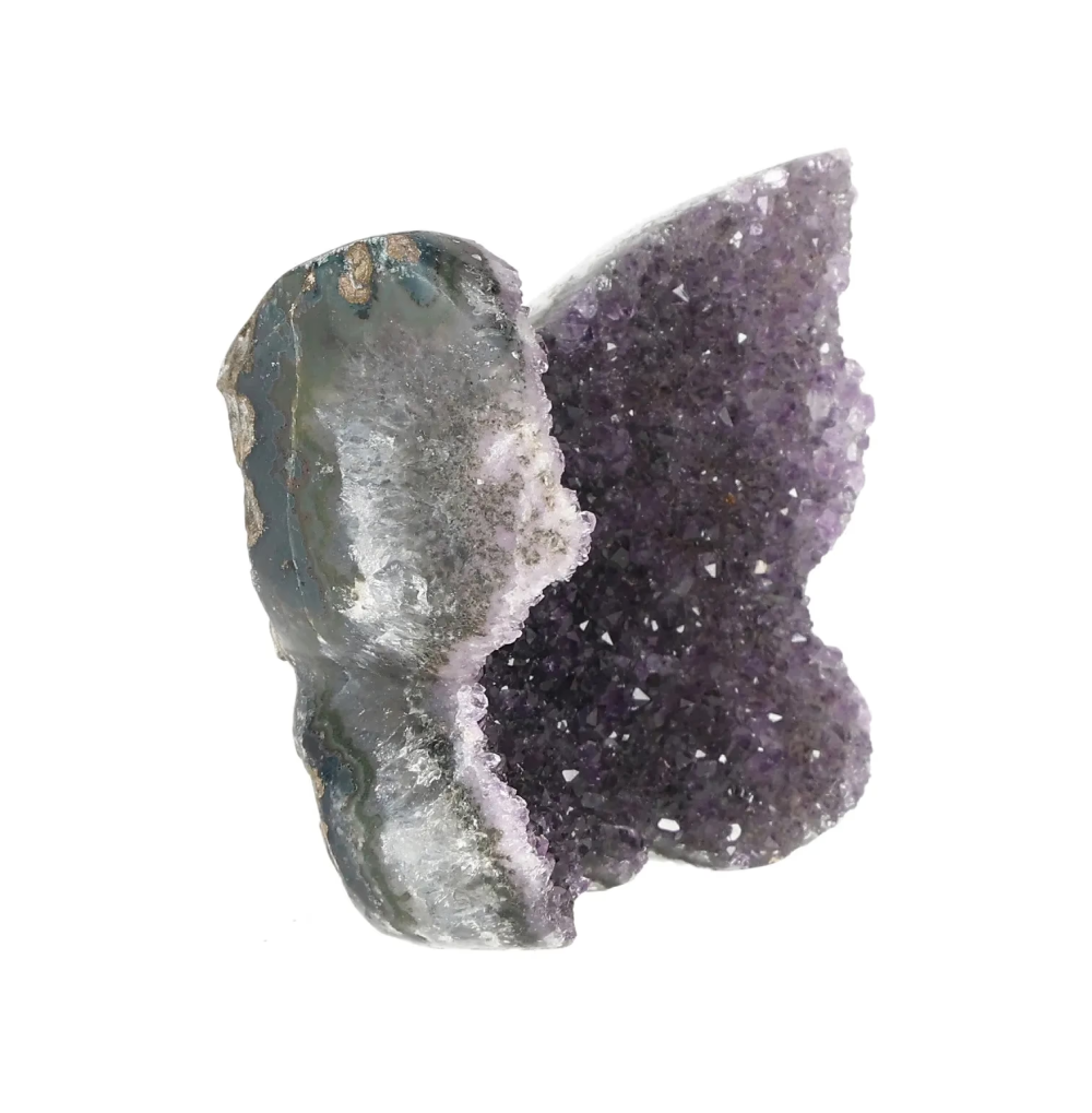 orbitvu|type:image2d