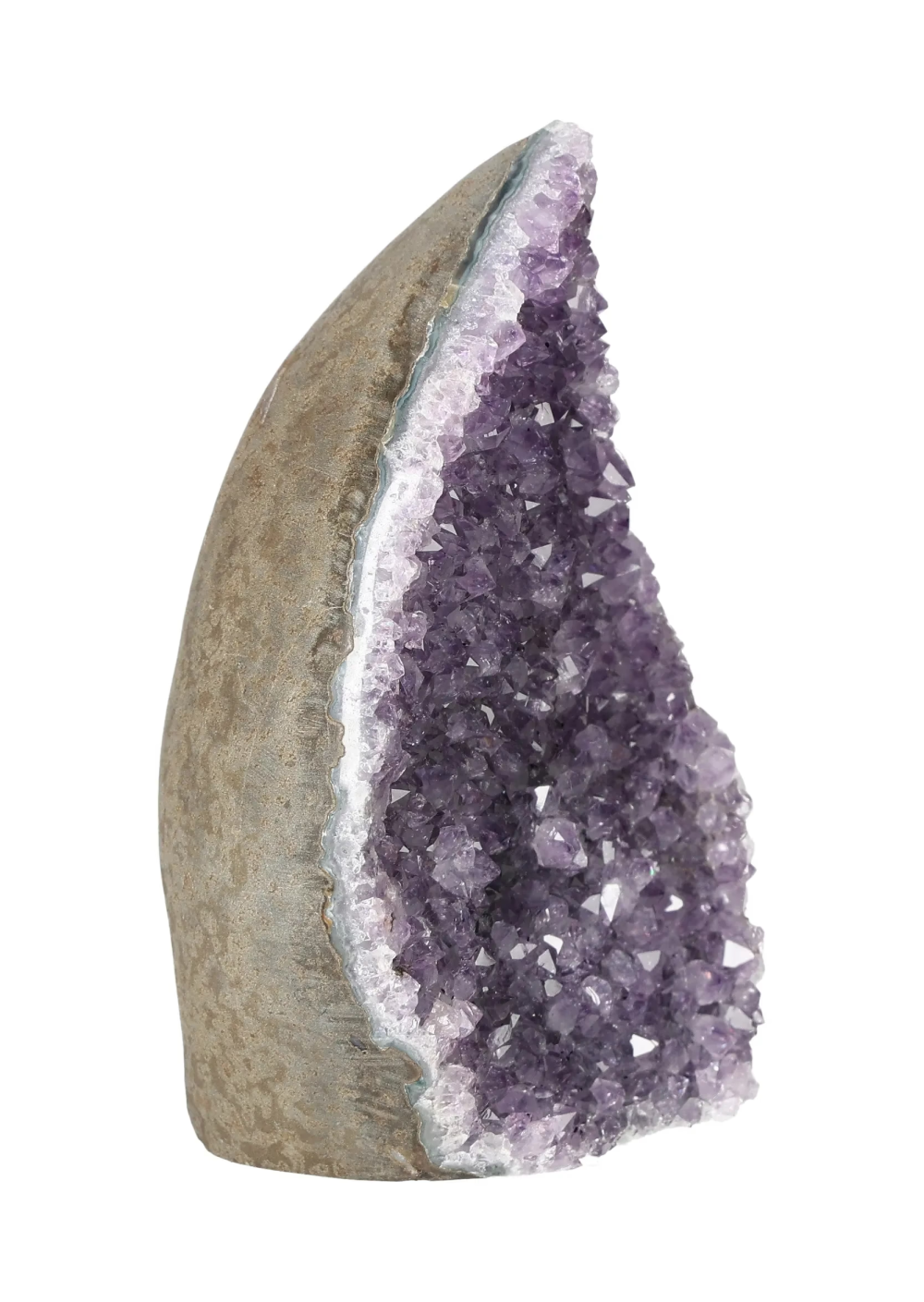 orbitvu|type:image2d