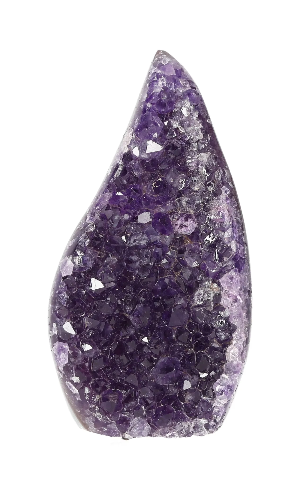 orbitvu|type:image2d