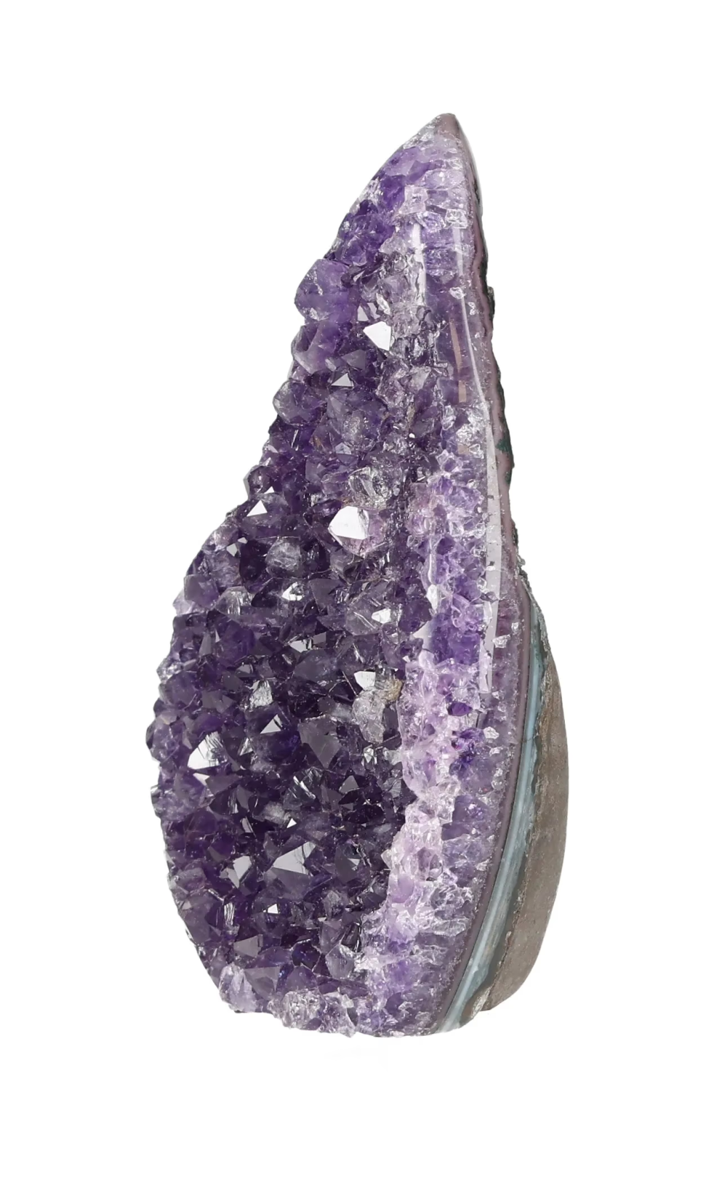 orbitvu|type:image2d