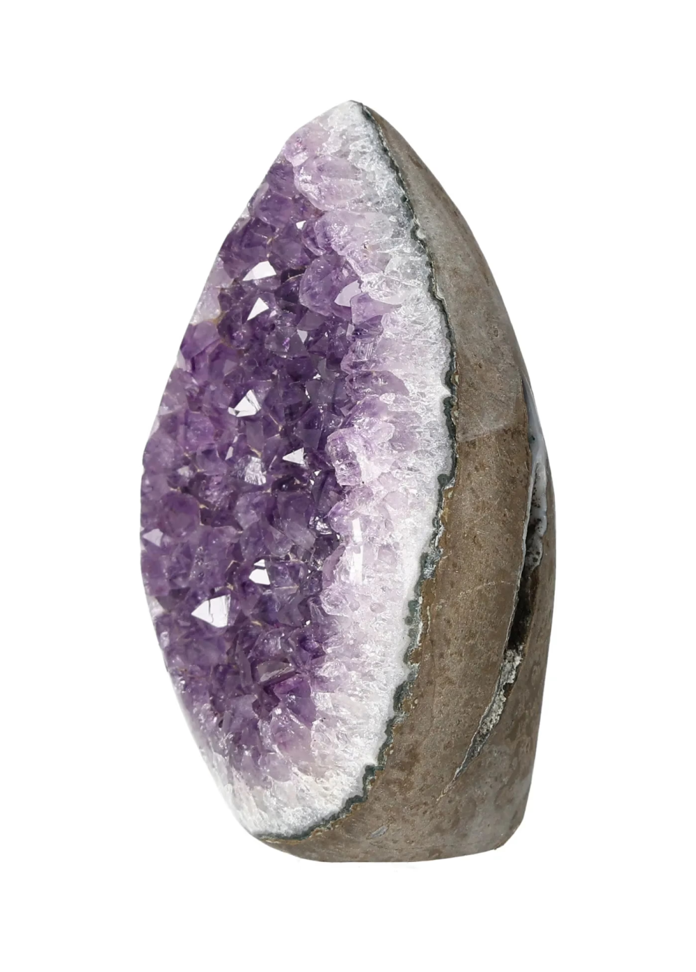 orbitvu|type:image2d