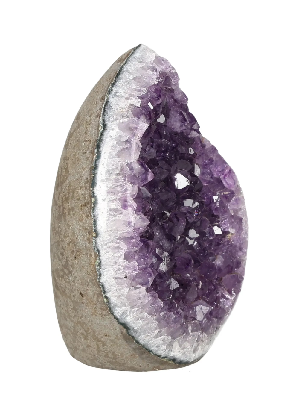 orbitvu|type:image2d