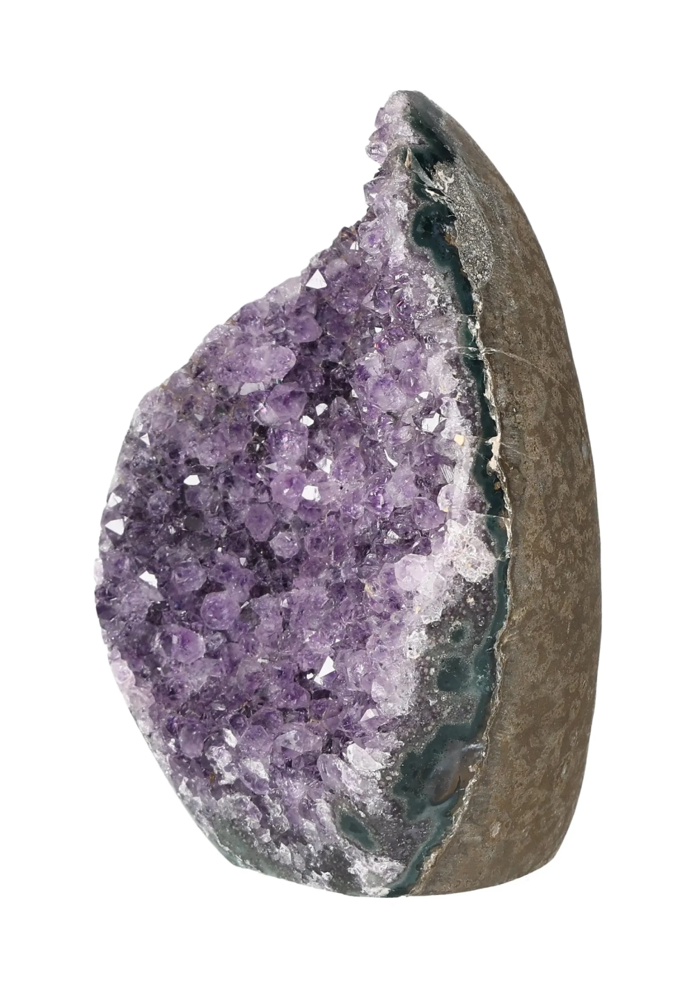 orbitvu|type:image2d