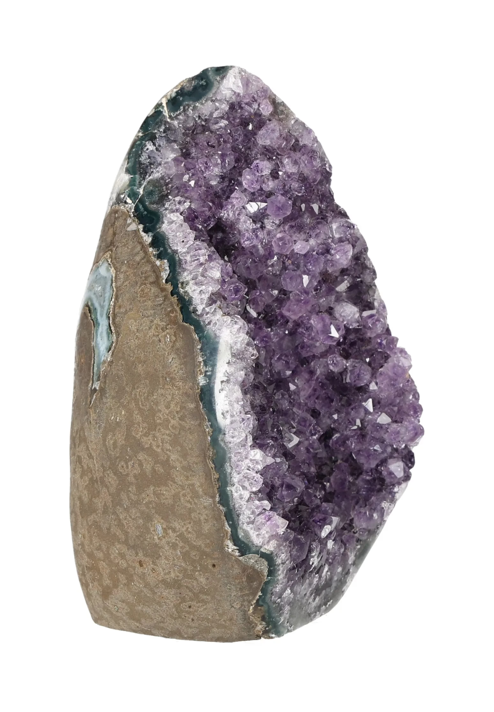 orbitvu|type:image2d