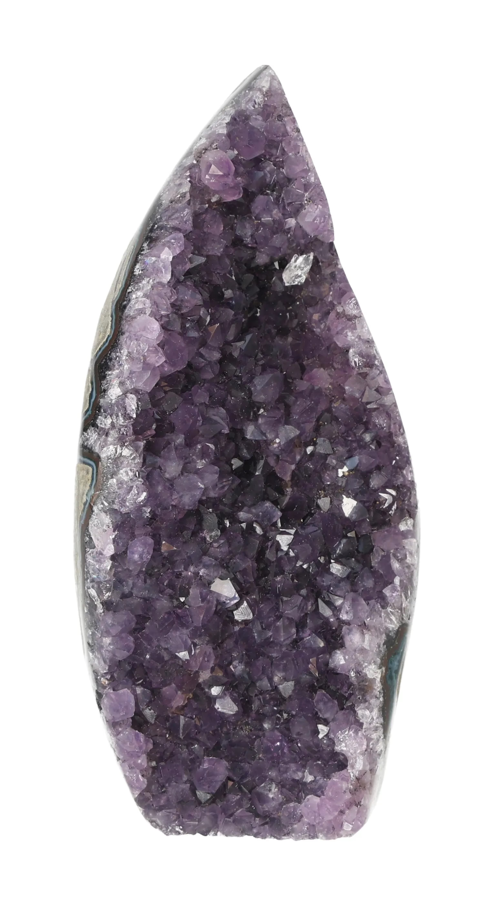 orbitvu|type:image2d