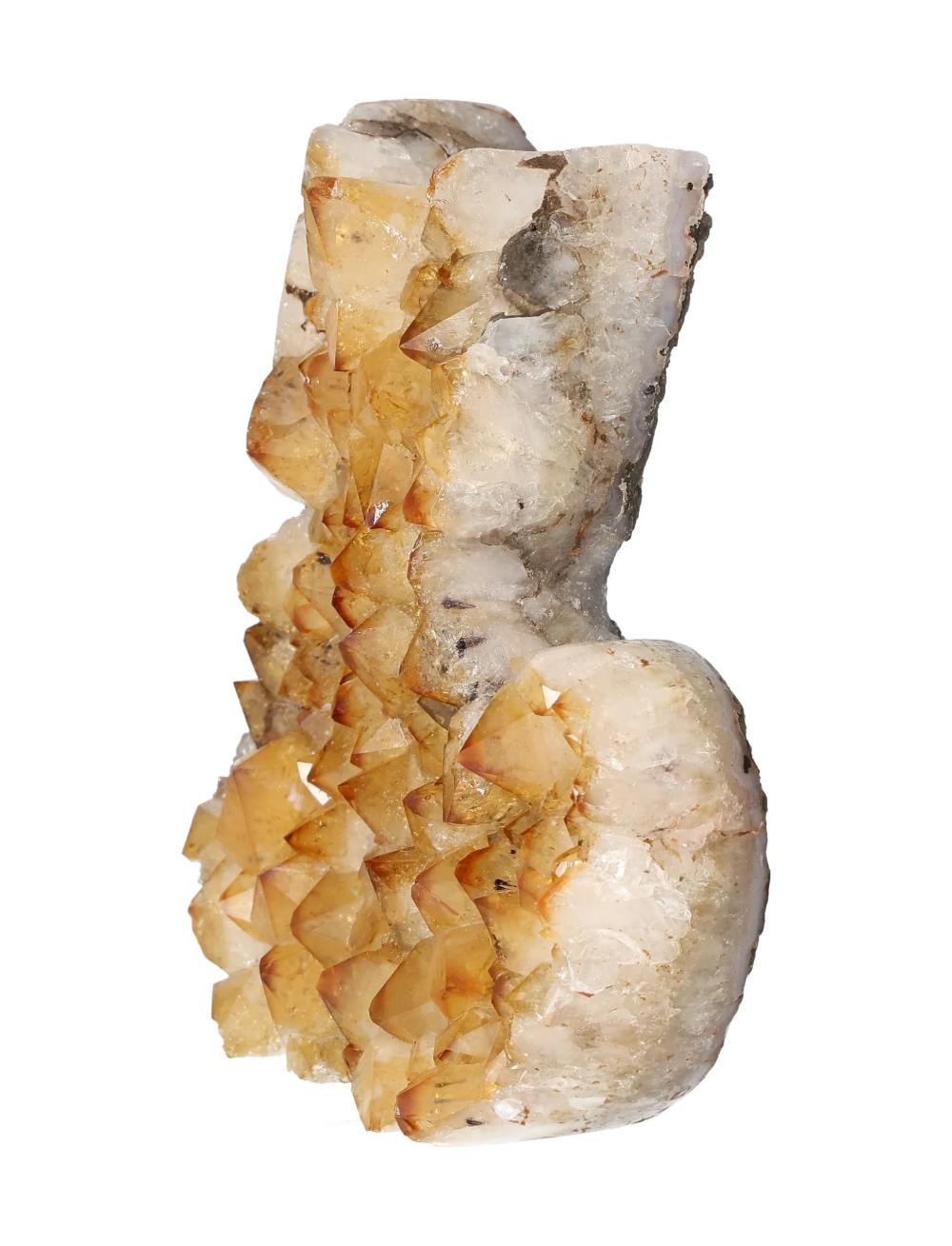 orbitvu|type:image2d