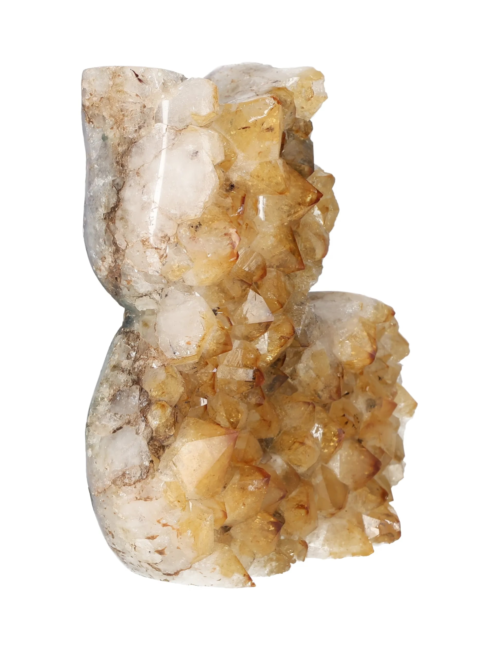 orbitvu|type:image2d