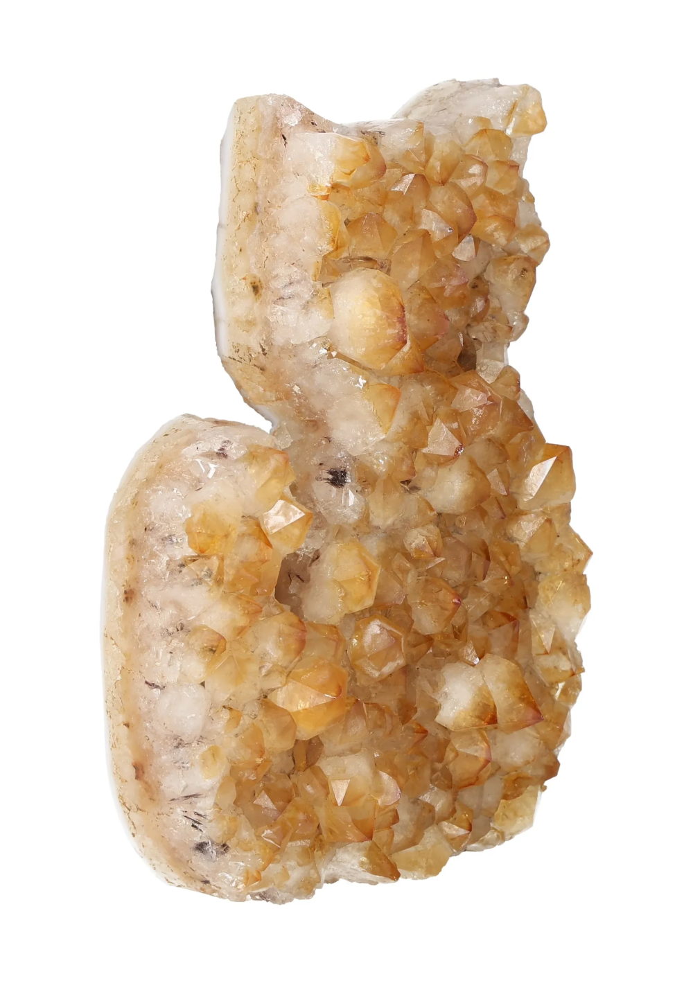 orbitvu|type:image2d