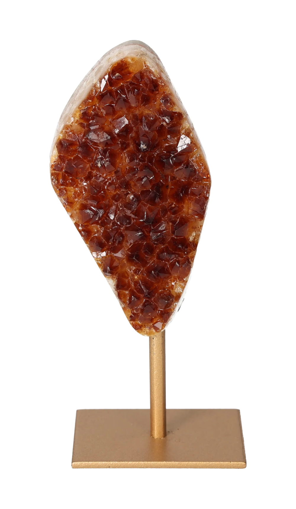 orbitvu|type:image2d