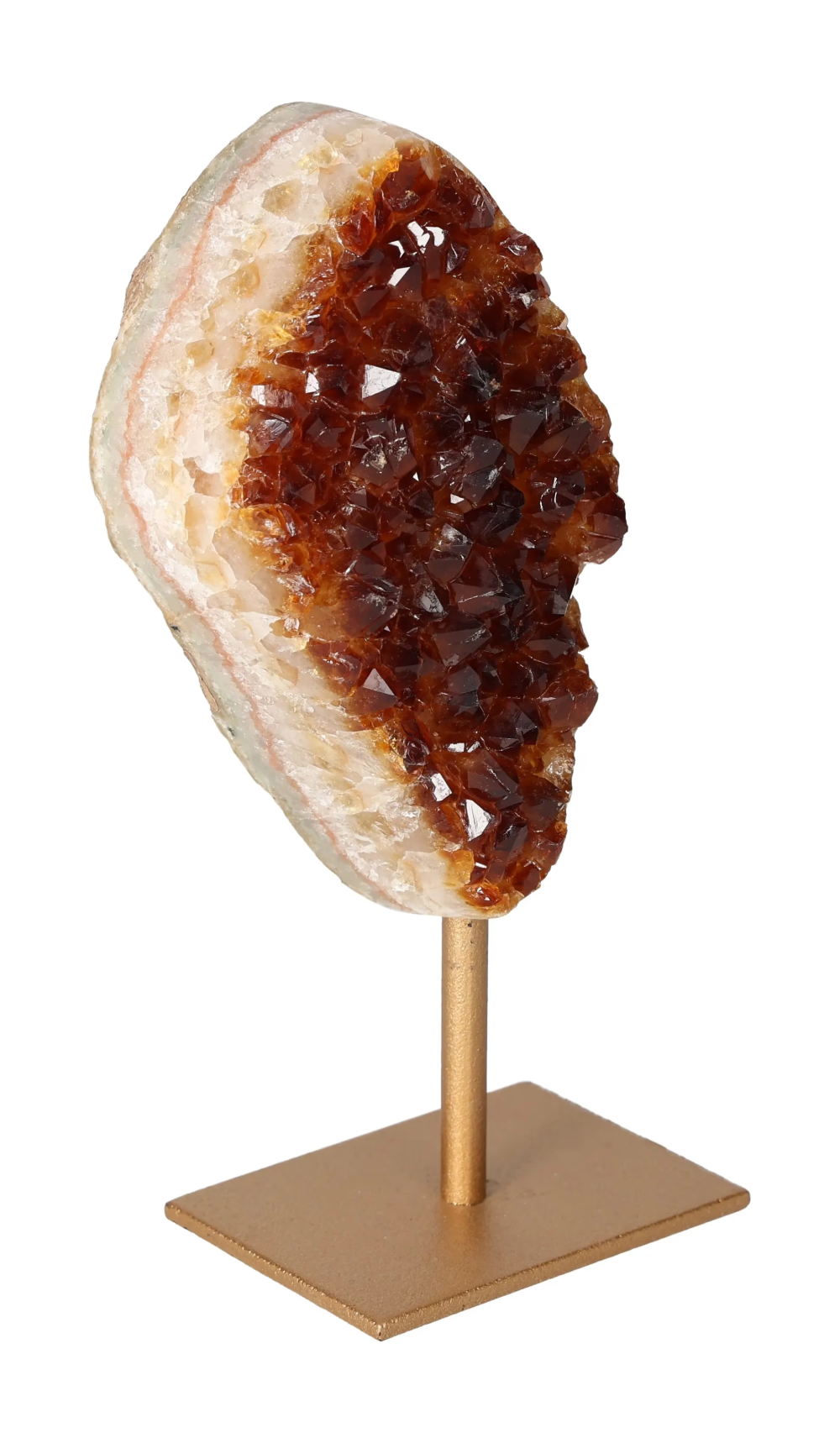 orbitvu|type:image2d