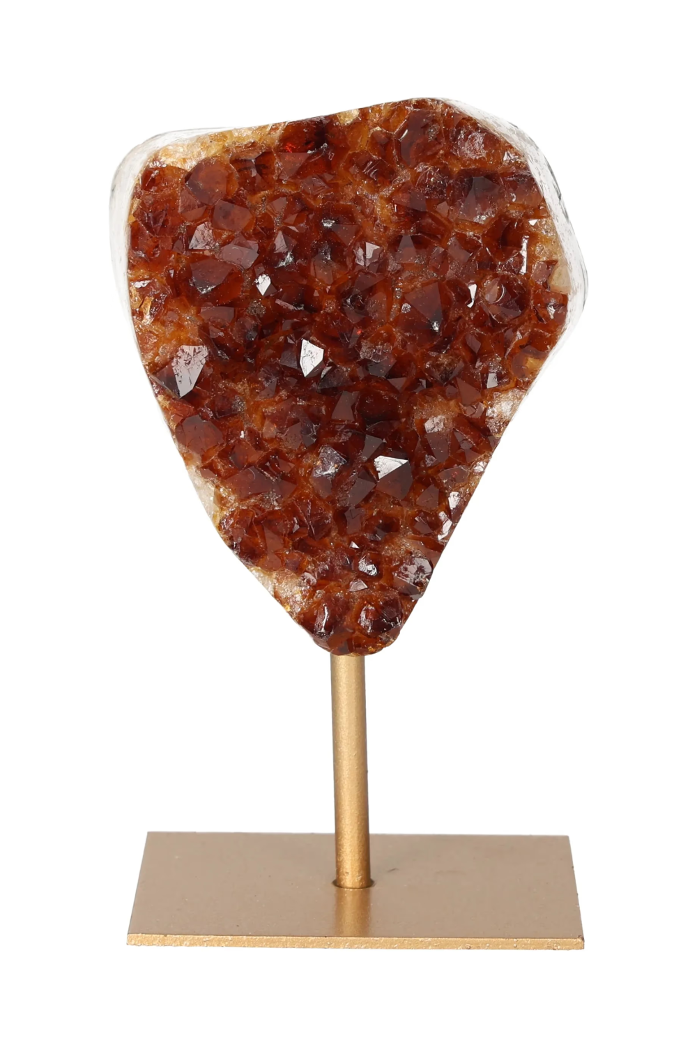 orbitvu|type:image2d