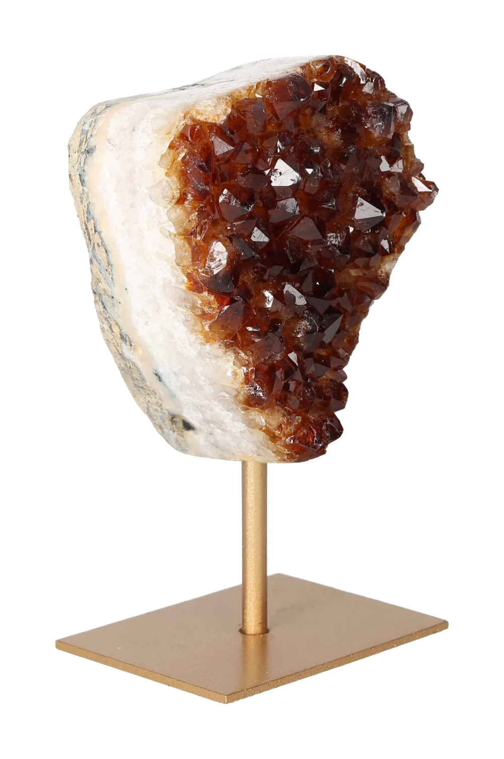 orbitvu|type:image2d