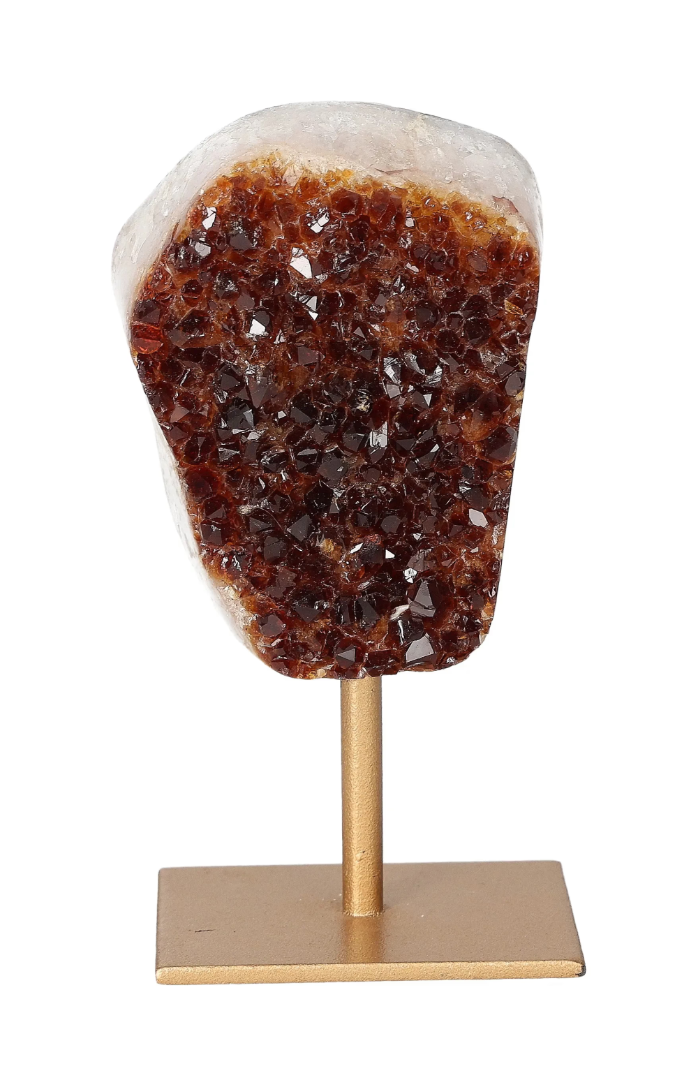 orbitvu|type:image2d