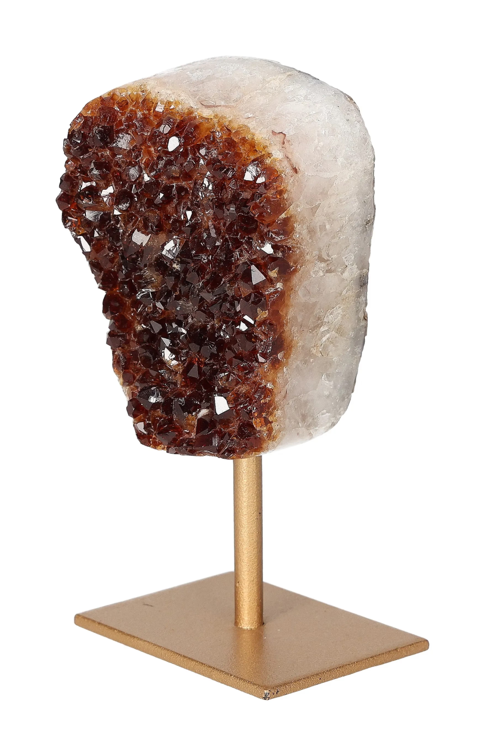 orbitvu|type:image2d