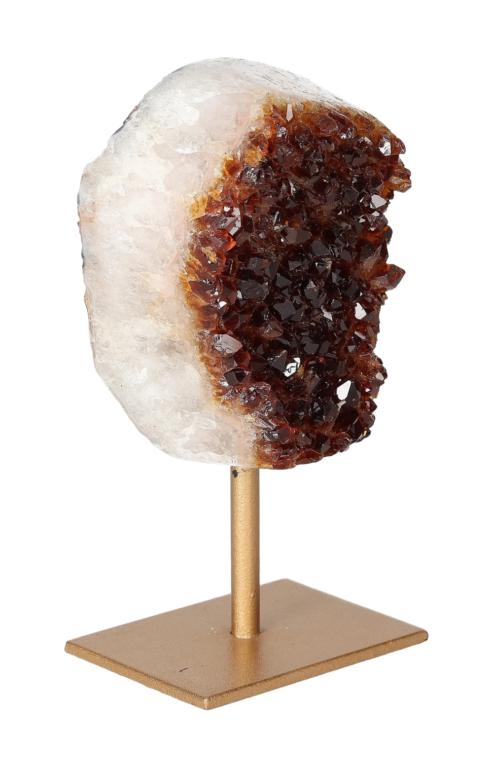 orbitvu|type:image2d