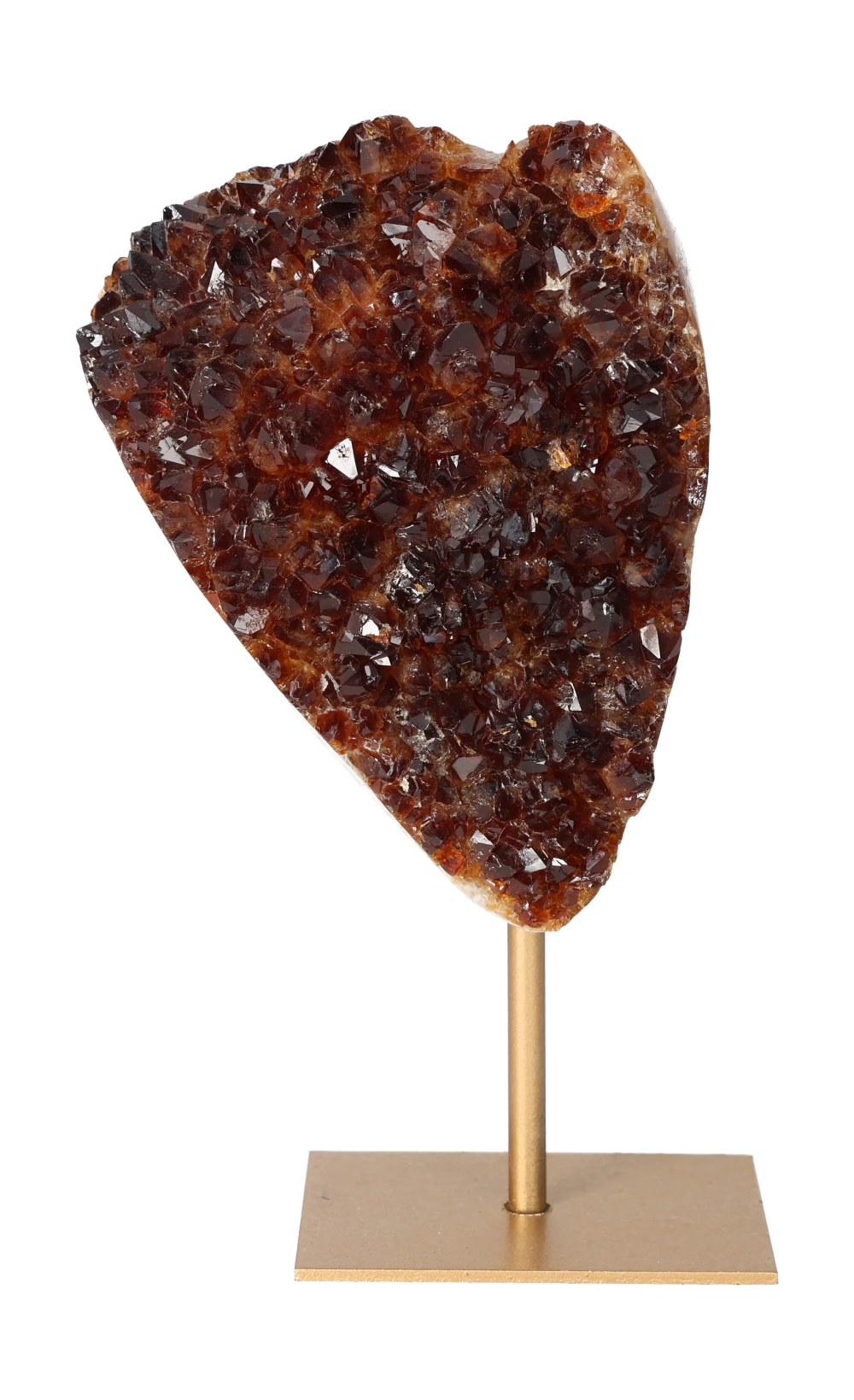 orbitvu|type:image2d