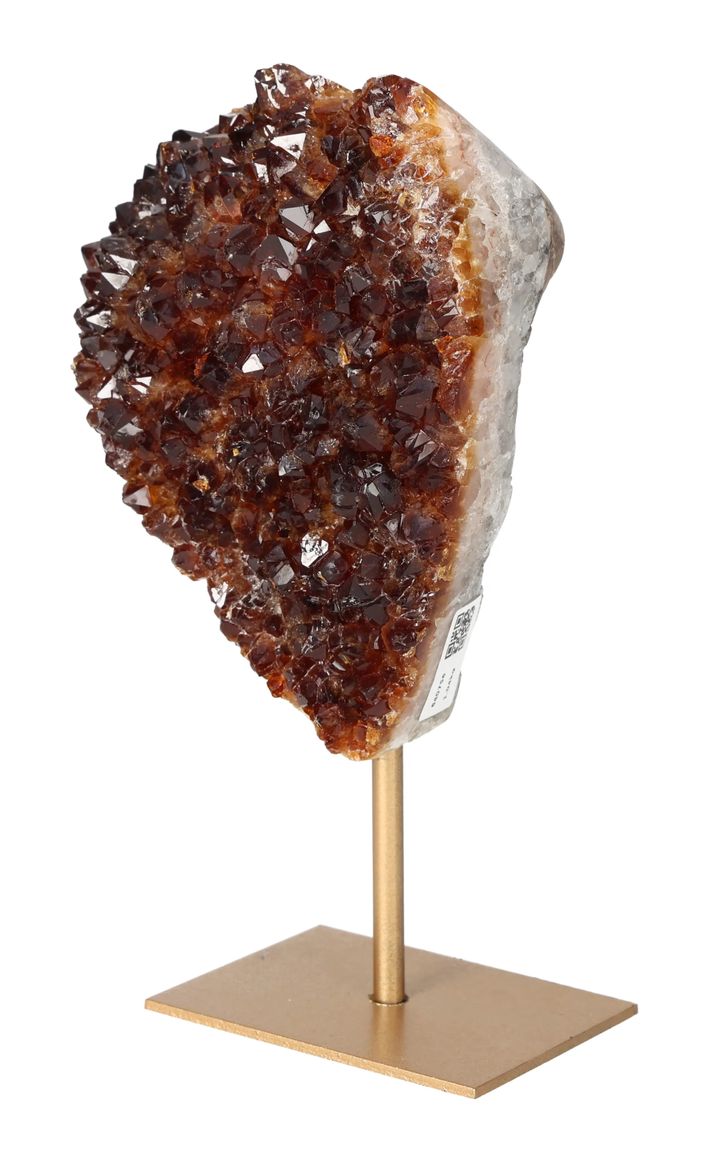 orbitvu|type:image2d