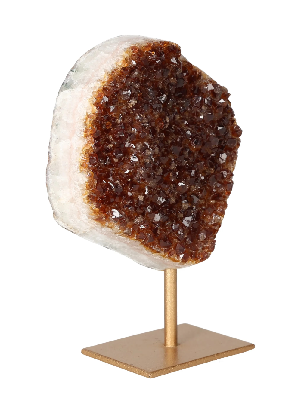 orbitvu|type:image2d